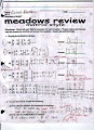 Medows Review Page 1.JPG