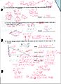 Intro Geometry Review Page 2.JPG