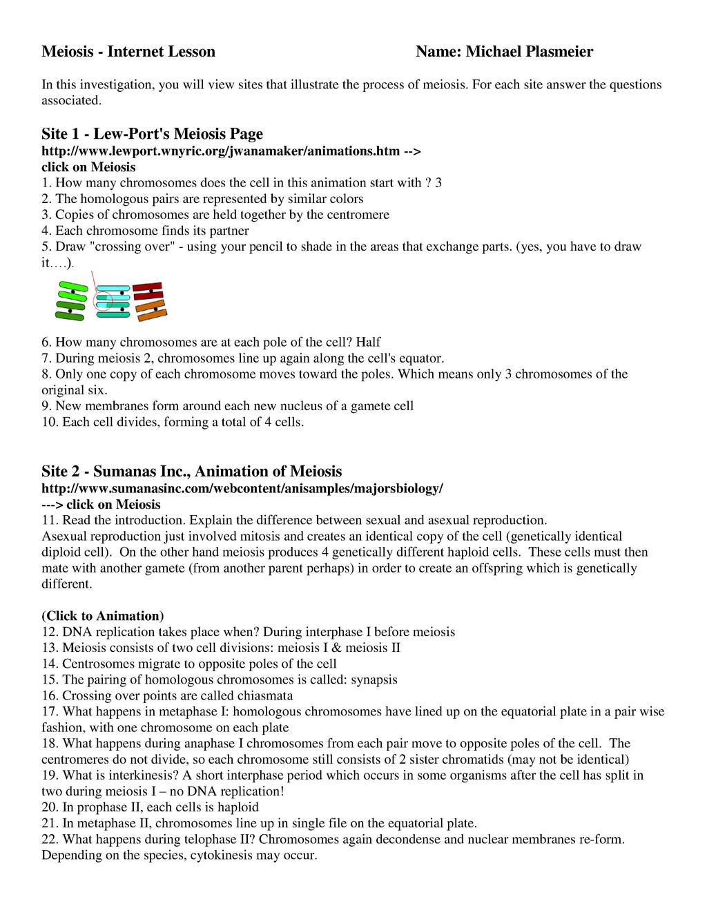 File:Meiosis Web Worksheet.pdf