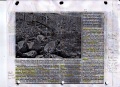 Middle East Water Tower Article Page 2.JPG