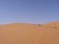 Saudi Arabia Desert.jpg